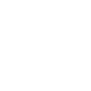 icon-expertise-web